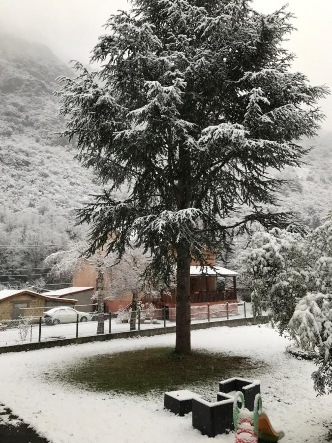Appartement Tarascon Sur Ariege Eksteriør bilde